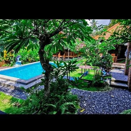 Halumba Eco Villa Bali Tejakula Exterior foto